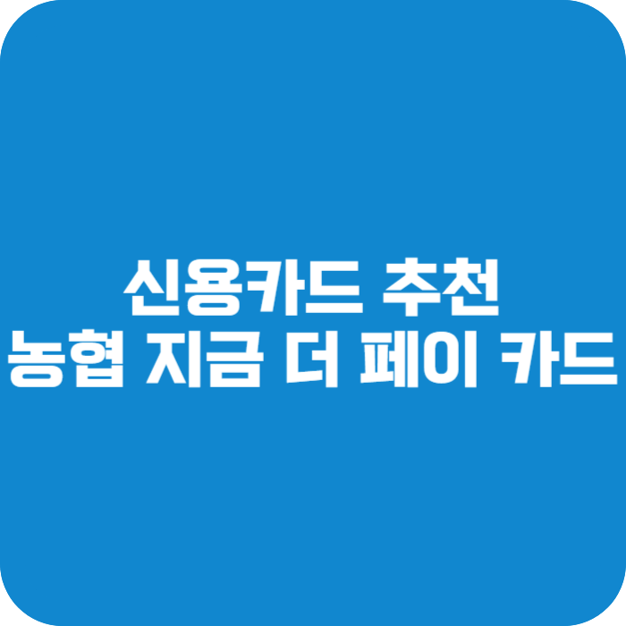 신용카드 추천 농협 더 페이 카드