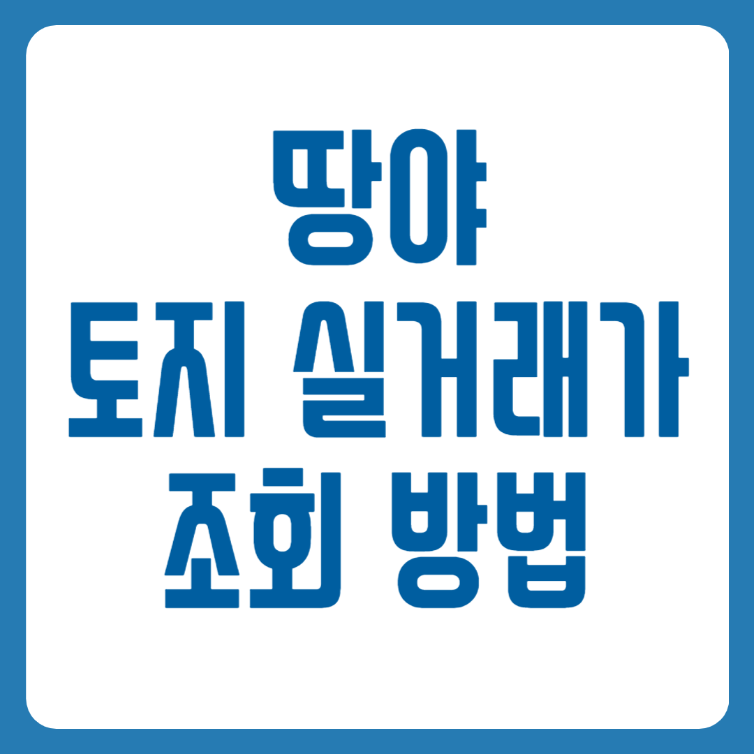 땅야