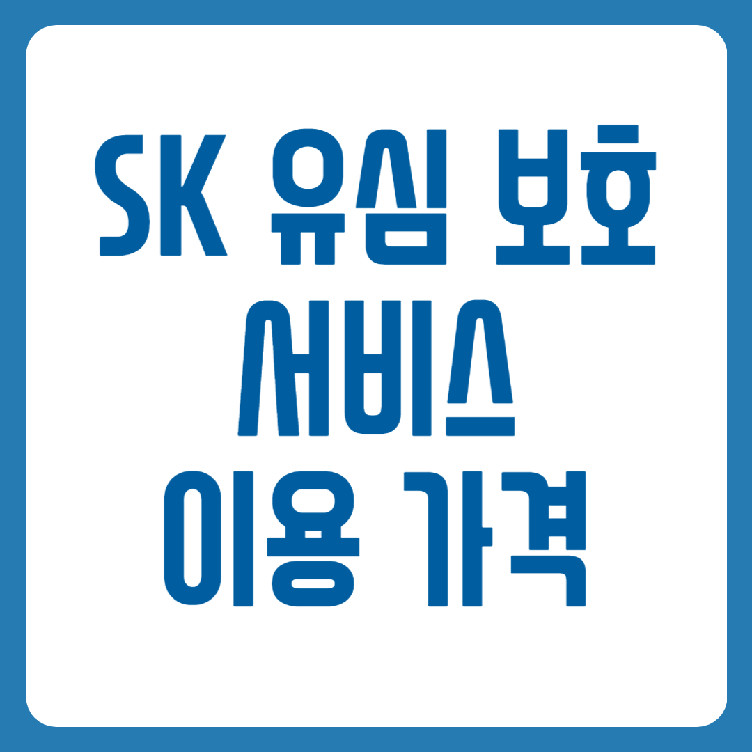 SK 유심 보호 서비스