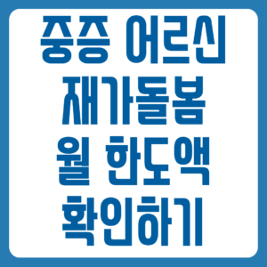 중증 어르신 재가돌봄