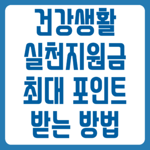 건강생활실천지원금